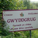 Gwyddgrug-639